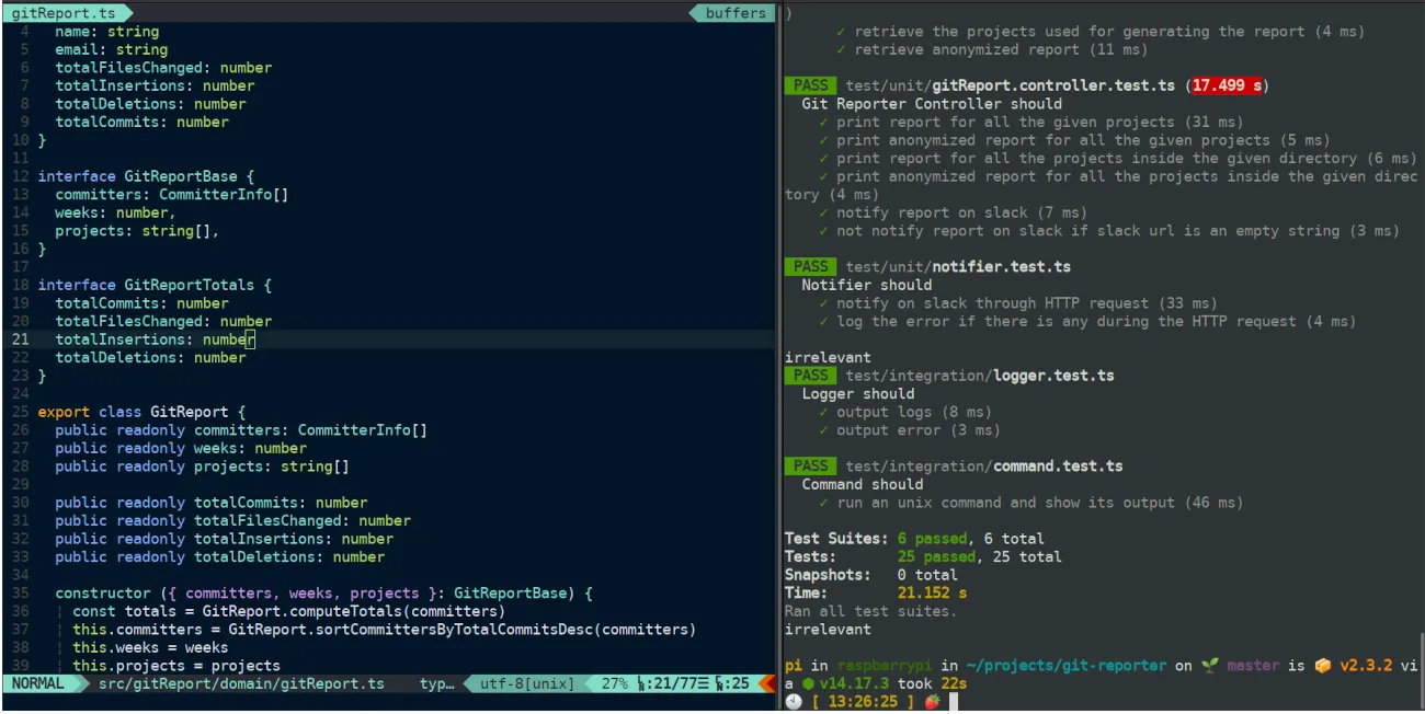 Como se ve programando con Neovim